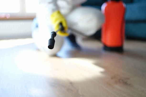 Best Biohazard Mold Removal  in North Royalton, OH
