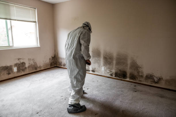 Best Airborne Mold Testing  in North Royalton, OH