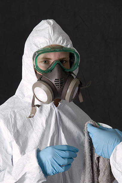 Best Water Damage & Mold Remediation  in North Royalton, OH
